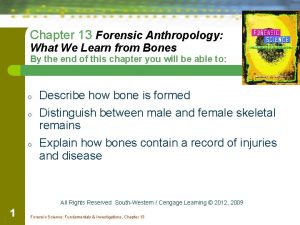 Chapter 13 forensic anthropology
