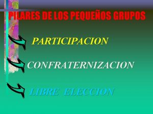 PILARES DE LOS PEQUEOS GRUPOS PARTICIPACION CONFRATERNIZACION LIBRE