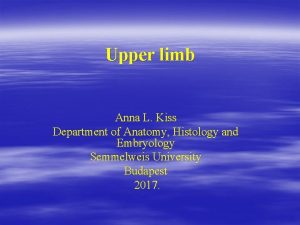 Upper limb Anna L Kiss Department of Anatomy