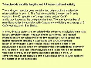 Trinucleotide satellite lengths and AR transcriptional activity The