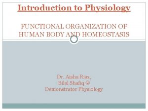 Functional organization of human body