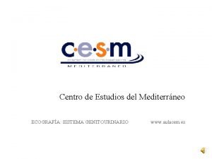 Centro de Estudios del Mediterrneo ECOGRAFA SISTEMA GENITOURINARIO