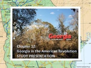 Chapter 12 Georgia in the American Revolution STUDY