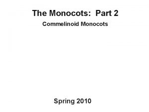 The Monocots Part 2 Commelinoid Monocots Spring 2010