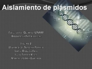 Aislamiento de plsmidos FACULTAD DE QUMICA UNAM BIOQUMICA