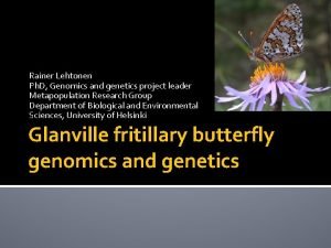 Genetics Genetics