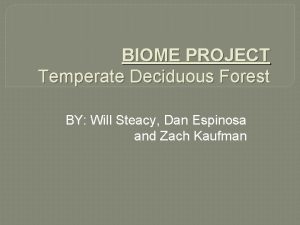 Activities in temperate deciduous forest
