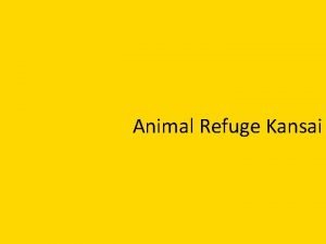 Animal refuge kansai