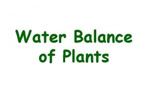 Water balance in plants