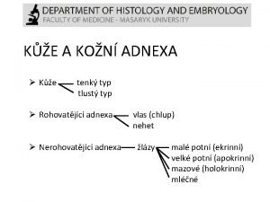 Histologie