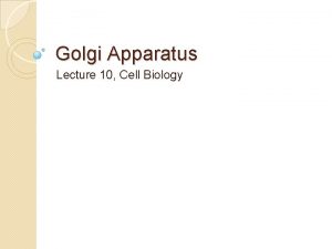 Golgi Apparatus Lecture 10 Cell Biology Discovery of