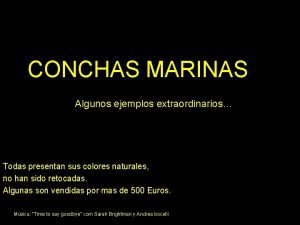 CONCHAS MARINAS Algunos ejemplos extraordinarios Todas presentan sus