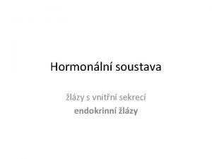 Hormonln soustava lzy s vnitn sekrec endokrinn lzy