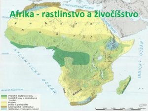 Rastlinstvo a živočíšstvo afriky