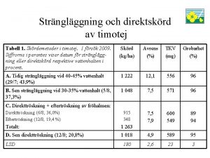 Grindstad timotei