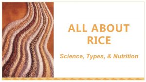 ALL ABOUT RICE Science Types Nutrition RICE CLASSIFICATION