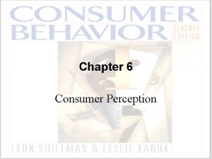 The perception process