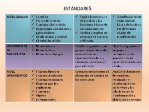 Principales funciones de la celula