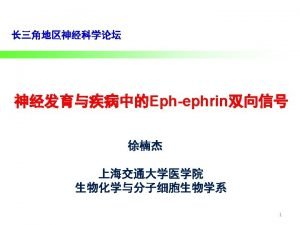 Axon growthpruning Dendrite branchingelimination Eph ephrin Eph A