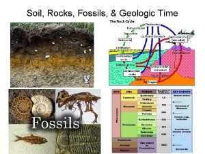 Soil Rocks Fossils Geologic Time Soil a mixture