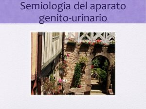 Semiologia del aparato genitourinario Terminologa Urolgica Andropausia Aneyaculacion