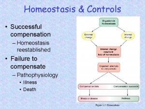 Homeostasis Controls Successful compensation Homeostasis reestablished Failure to