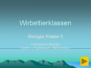 Kriechtiere körperbedeckung Kriechtiere körperbedeckung