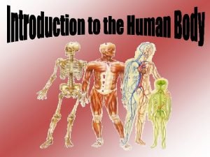 Morphology of body parts Morphology of body parts