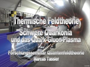 Einleitung 11 12 2006 Thermische Feldtheorie Marcus Tassler