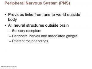 Pns Pns