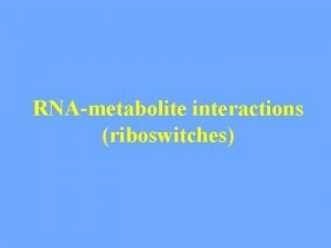 RNAmetabolite interactions riboswitches RNA aptamers RNA aptamers are