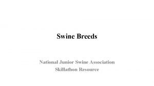 Swine Breeds National Junior Swine Association Skillathon Resource
