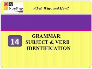 Subject and verb identification