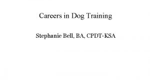 Self-employed dog trainer salary