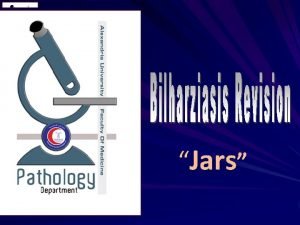 Jars Bilharziasis jars III4 3 451 Bilharzial colitis