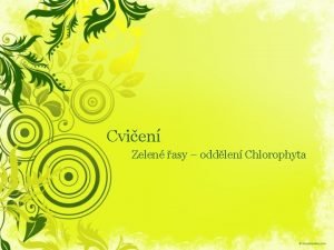 Cvien Zelen asy oddlen Chlorophyta Zelen asy Vvojov