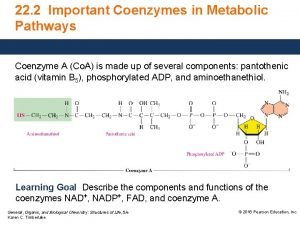 22 2 Important Coenzymes in Metabolic Pathways Coenzyme