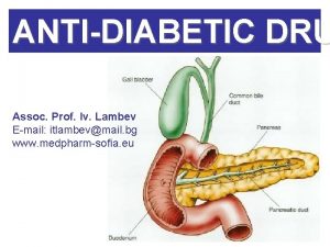 ANTIDIABETIC DRU Assoc Prof Iv Lambev Email itlambevmail