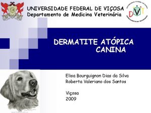UNIVERSIDADE FEDERAL DE VIOSA Departamento de Medicina Veterinria