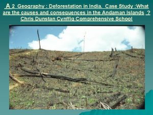 Case study on deforestation in india