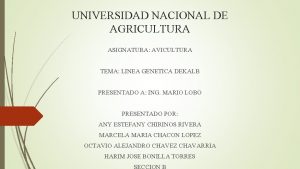 UNIVERSIDAD NACIONAL DE AGRICULTURA ASIGNATURA AVICULTURA TEMA LINEA