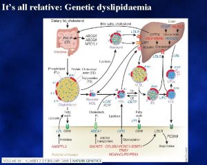 Its all relative Genetic dyslipidaemia CVD risk factors
