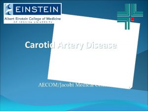 Carotid Artery Disease Lenore C Ocava MD Vascular