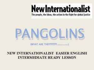 PANGOLINS WHAT ARE THEY NEW INTERNATIONALIST EASIER ENGLISH