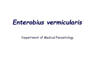 Enterobius vermicularis Department of Medical Parasitology Introduction Enterobius