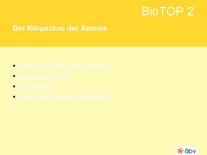 Bio TOP 2 Der Krperbau der Ameise schrittweiser