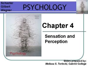 Schacter Gilbert Wegner PSYCHOLOGY Chapter 4 Sensation and