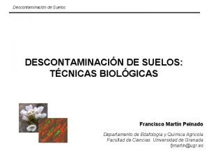 Descontaminacin de Suelos DESCONTAMINACIN DE SUELOS TCNICAS BIOLGICAS