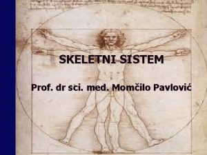 SKELETNI SISTEM Prof dr sci med Momilo Pavlovi