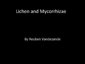 Lichen and Mycorrhizae By Reuben Vandezande Lichens A